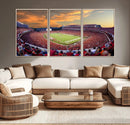Dooley Stadium Wall Art, Sports Arena Canvas Print, Dooley by MyGreatCanvas | Canvas Wall Art Prints | Photo Prints & Wall Decor
