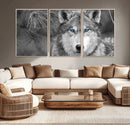 Wild Wolf Blue Eye Wall Art Canvas Print