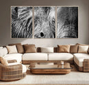 Wild Old Elephant Wall Art Canvas Print