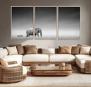 Elephand and Zebra Wall Art Canvas Print, Modern Artwork