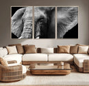 Big Elephant Close Up Wall Art Canvas Print