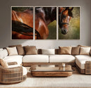 Majestic Brown Horse Wall Art Canvas Print – Framed
