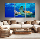 Sea Turtle Wall Art Canvas Print, Sea life in the Ocean Wall