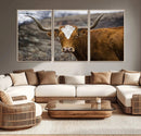 Texas Longhorn Canvas Wall Art - Longhorn Steer Canvas Wall by MyGreatCanvas | Canvas Wall Art Prints | Photo Prints & Wall Decor