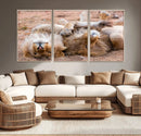 Lion Pair Wall Art Canvas Print – Framed Wildlife Scene with