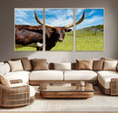 Longhorn and Cow Wall Art, Country Cow Wall Decor Canvas by MyGreatCanvas | Canvas Wall Art Prints | Photo Prints & Wall Decor
