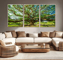 Majestic Oak Tree Wall Art – Serene Nature Canvas Print with
