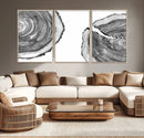 Abstract Large Tree Rings – Minimalist Black and White Wood