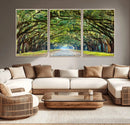 Wormsloe State Plantation Driveway Wall Art Canvas Print by MyGreatCanvas | Canvas Wall Art Prints | Photo Prints & Wall Decor