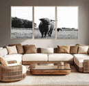 Black and White Highland Cow Wall Art Canvas Print | Rustic