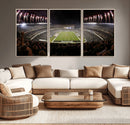 Eagles Field Stadium Wall Art - Philadelphia Eagles Football