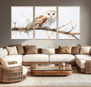 Barn Owl Wall Art on Branch | Stunning Canvas Print for
