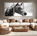 Horse Canvas Print - Winter Horse Snow Wall Art Canvas Print
