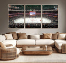Honda Center California Anaheim Ducks Ice Hockey Stadium
