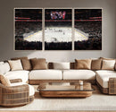 T Mobile Arena Paradise Nevada Vegas Golden Knights Ice