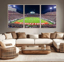 NC State Wolfpack Canvas Print - Raleigh Carter-Finley
