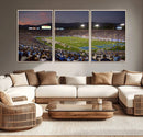 UCLA Bruins Football Team Print - Pasadena Rose Bowl Stadium