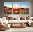 North Carolina State University Canvas Print, North Carolina