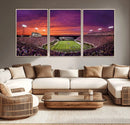 East Carolina University Pirates Football Print Canvas-