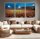 Clemson University Tigers Football Team Print - Clemson