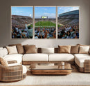 Michigan State Spartans Football Team Art Print - East