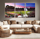 Stanford University Cardinal Football Team Print - Stanford
