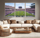 TCU Horned Frogs Football Team Print - Fort Worth Amon G.