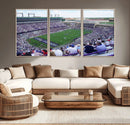 The Texas Christian University TCU Horned Frogs Football