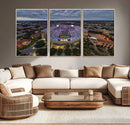The Louisiana State University Tigers Football Team Print -