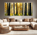 Sunlit Forest Wall Art Canvas Print – Large Framed Woodland