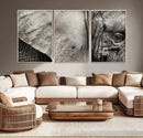 Elephant Wall Art Canvas Print