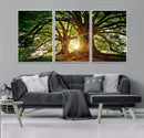 Majestic Ancient Tree Wall Art, NatureCanvas Print, Woodland by MyGreatCanvas | Canvas Wall Art Prints | Photo Prints & Wall Decor
