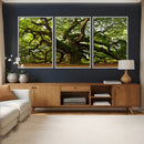 Angel Oak Tree Wall Art Canvas Print | Forest Tree Nature