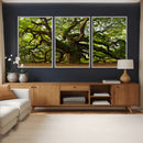 Angel Oak Tree Wall Art Canvas Print | Forest Tree Nature