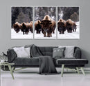 Bison Wall Art Canvas Print- Bison Herd Canvas Wall Art –