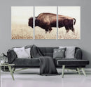 Bison in Field Wall Art Canvas Print For Farmhouse Barn