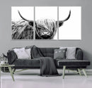 Black White Scottish Highland Cow Cattle Art Print Farmhouse