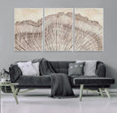Tree Ring Wall Art Triptych, Rustic Wood Ring Canvas Print,