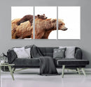 Mother and Baby Bear Canvas Wall Art - Adorable Wildlife by MyGreatCanvas | Canvas Wall Art Prints | Photo Prints & Wall Decor