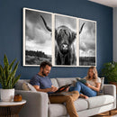 Scottish Cow Wall Art Canvas Print | Longhorn Wall Art |