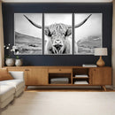 Scottish Cow Wall Art Canvas Print