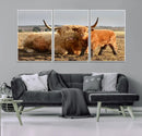 Highland Cow Canvas Wall Art Animal Print for Farm House