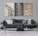 Minimalist Botanical Wall Art Canvas Print, Framed and Ready