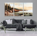 Serene Coastal View of Acadia National Park Wall Art -