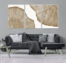 Rustic Brown Tree Ring Wall Art Canvas Print – Framed and