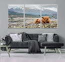 Highland Cow Horn Farm Wall Art Canvas Print