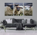 Charming Sheep Portrait Wall Art – Trio of Woolly Companions by MyGreatCanvas | Canvas Wall Art Prints | Photo Prints & Wall Decor