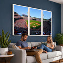 Cincinnati Reds Baseball Canvas Print - American Ball