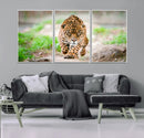 Leopard on the Prowl - Stunning Large Framed Leopard Wall