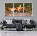 Sleeping Fox Wall Art Canvas Print, Farmhouse Wall Decor and